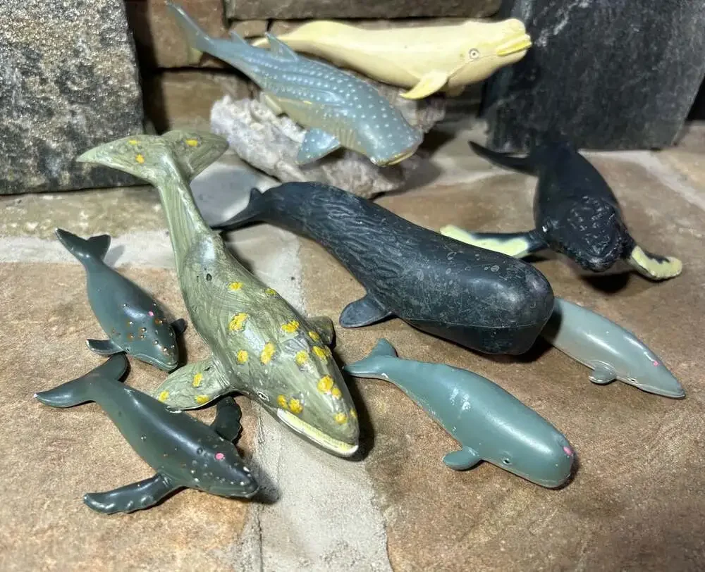 whale figures Air breathing water mammals toys lot of nine